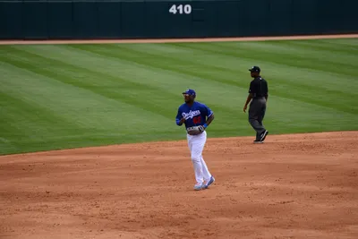 DSC_1551 (Large).JPG